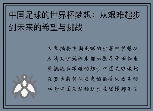 中国足球的世界杯梦想：从艰难起步到未来的希望与挑战